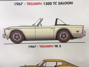 Triumph TR5